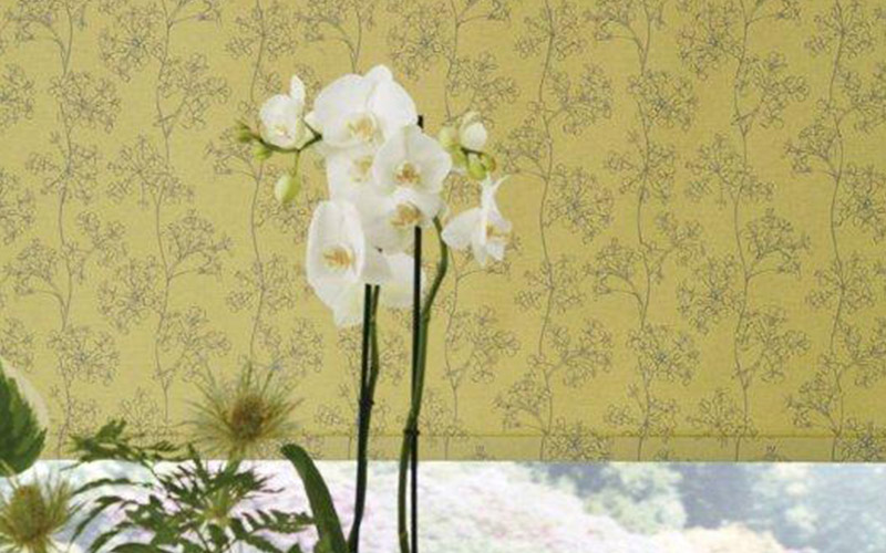 Roller Blinds