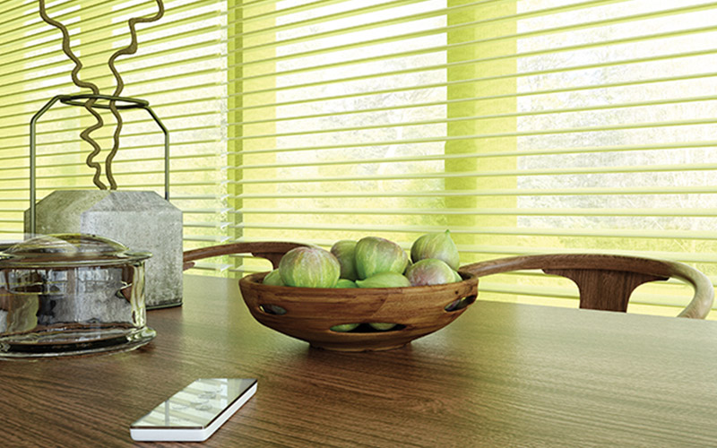 Visage blinds