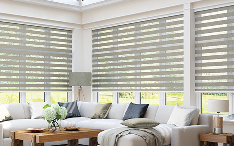 Vision Blinds